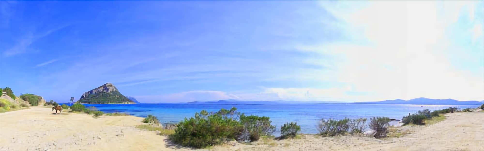 Residence Marineledda & Vela Blu Golfo Aranci Bagian luar foto