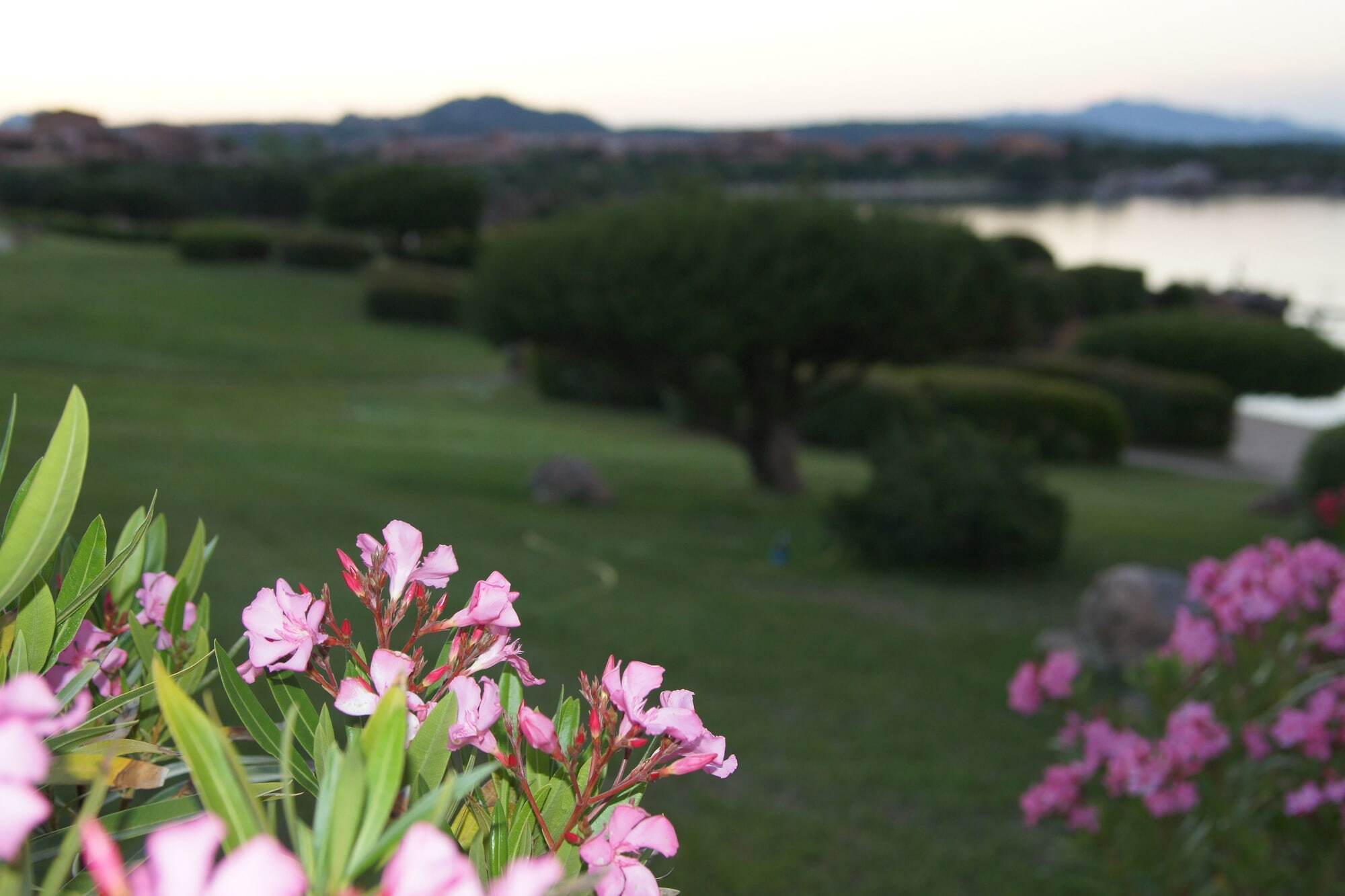 Residence Marineledda & Vela Blu Golfo Aranci Bagian luar foto