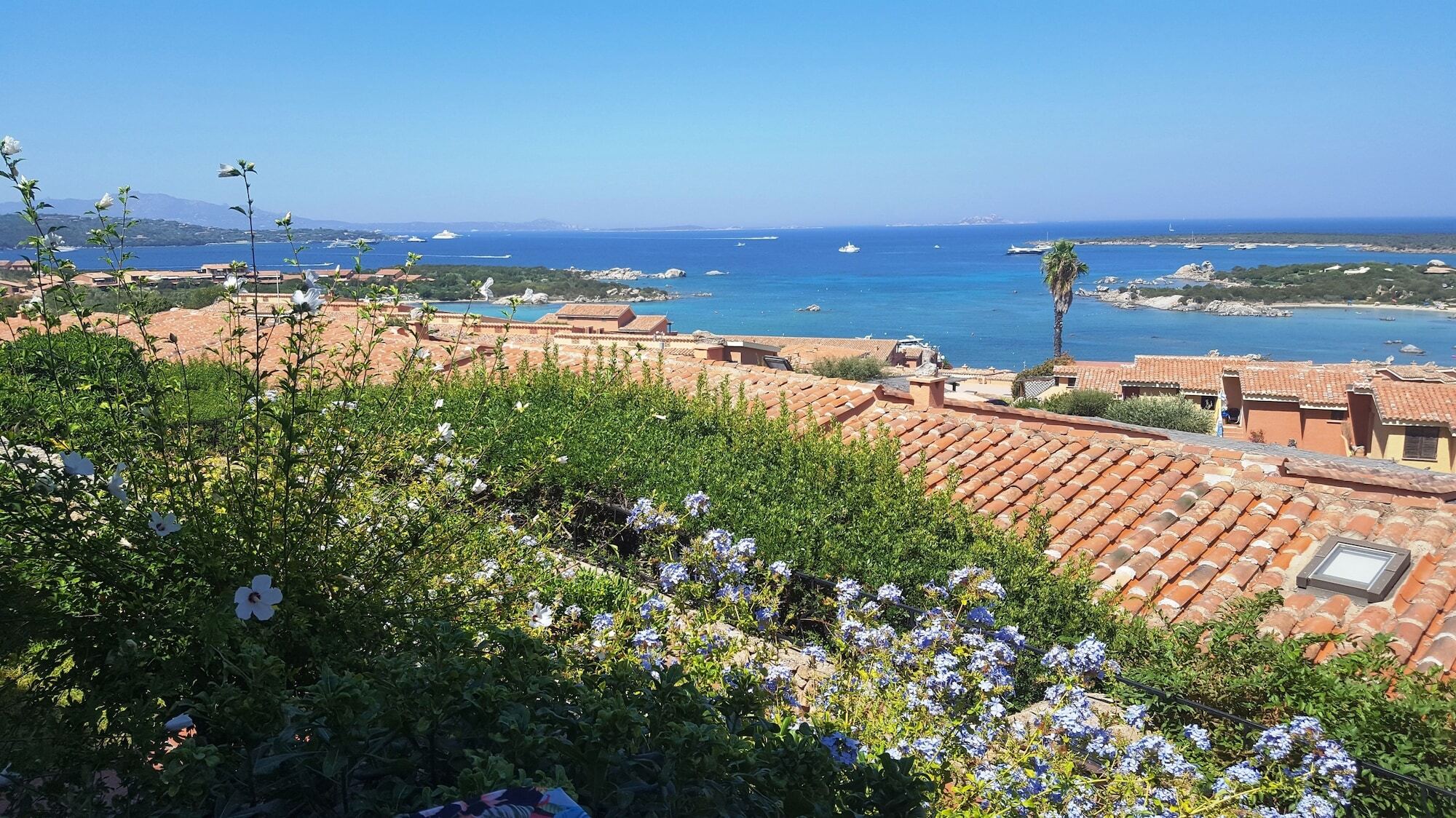 Residence Marineledda & Vela Blu Golfo Aranci Bagian luar foto